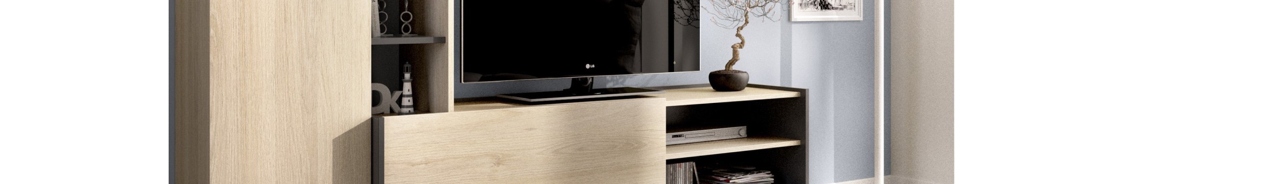 Muebles de salón y cuarto de estar. Muebles salón
